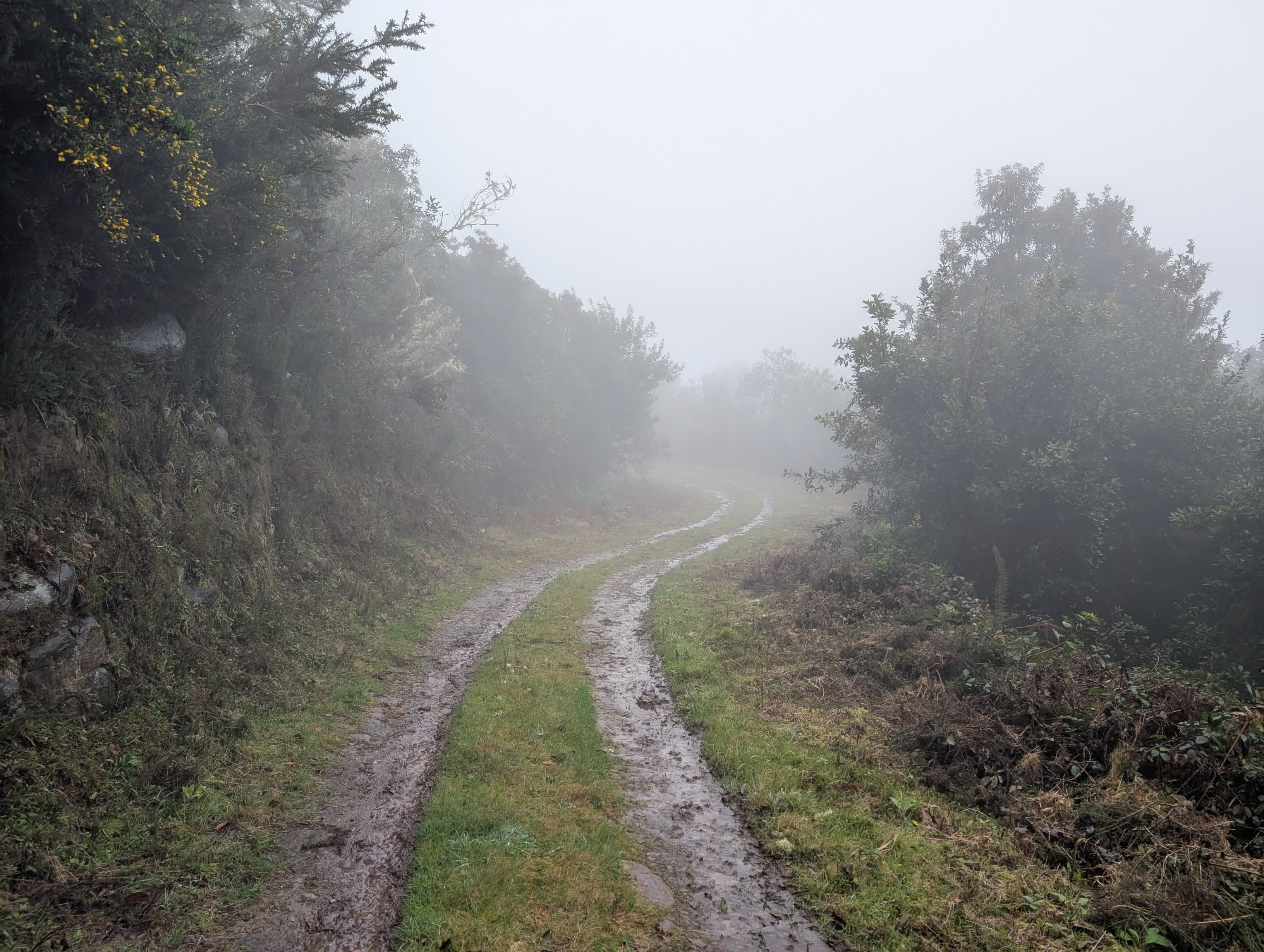 madeira trail